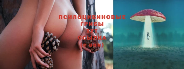 дурь Протвино
