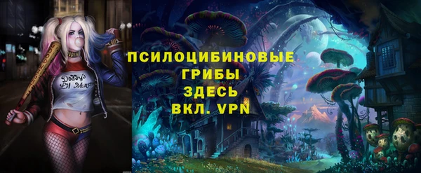спайс Абаза